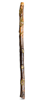 Heartland Didgeridoo (HD565)